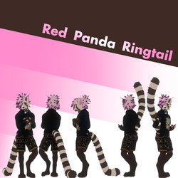 Red Panda RingTail