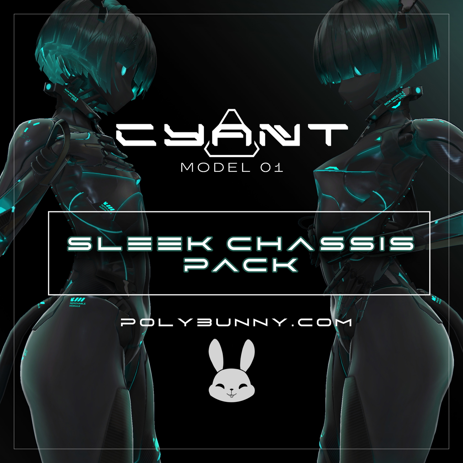 CYANT Sleek Chassis Pack
