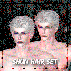Shun Hair Pack