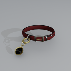 Collar - Basic Asset (Pierrez)