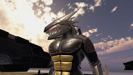 High Frequency Canine