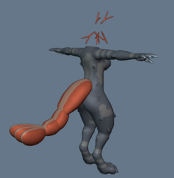Shrimp Assets