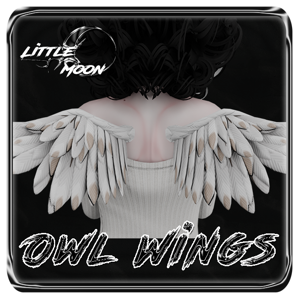 Owl Wings