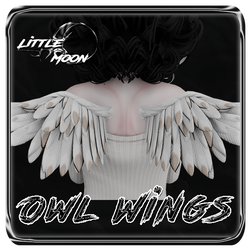 Owl Wings