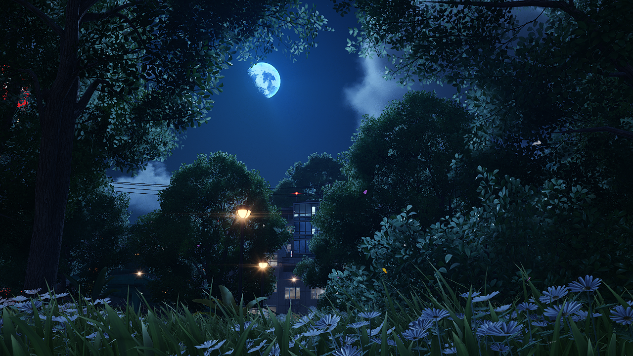 Banner Background