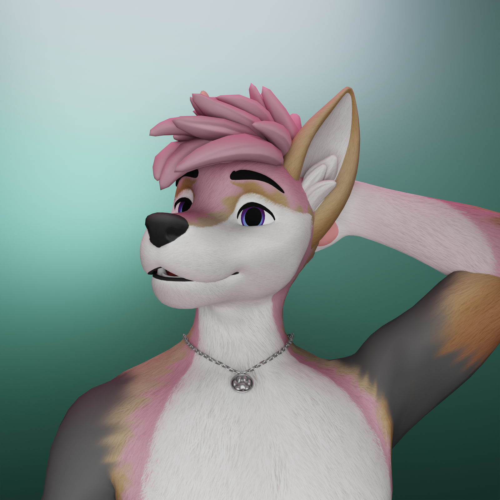 Necklace Pack for Nardo/Rex/Canine