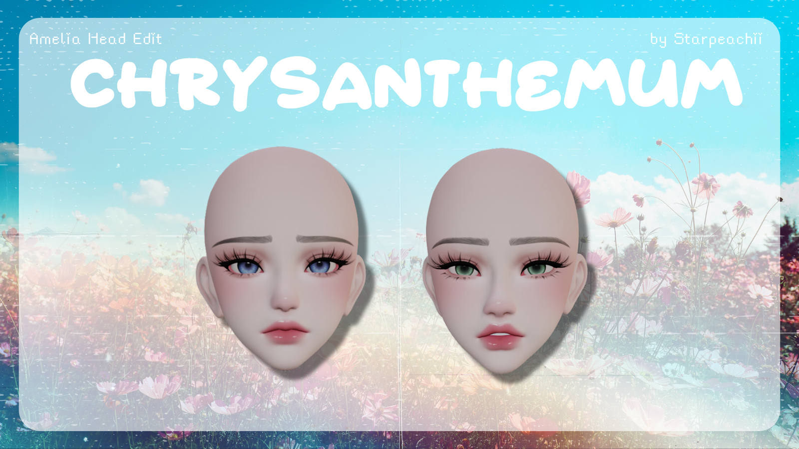 Chrysanthemum (Amelia Head Edit)