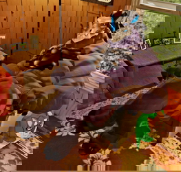 Skull Rhino VRChat Avatar