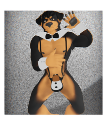 Wolfman Thong (VRChat) 