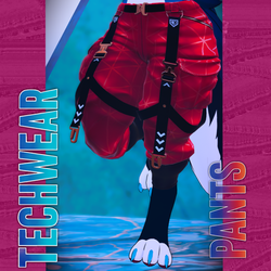 TechWear Pants for the NovaBeast Avatar