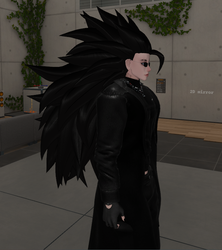 SS3 Hair( For Akii Head)