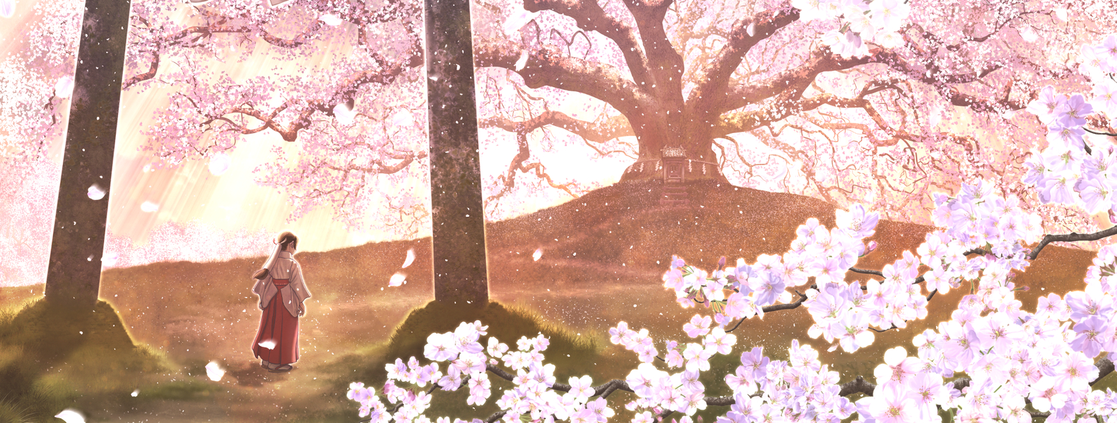 Banner Background
