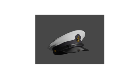 US Navy hat