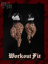 Workout Fit