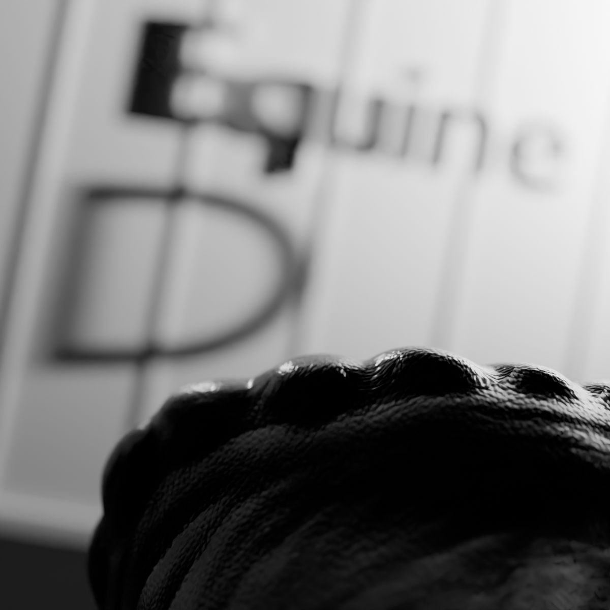 Absoflak | Equine ~~Thing~~