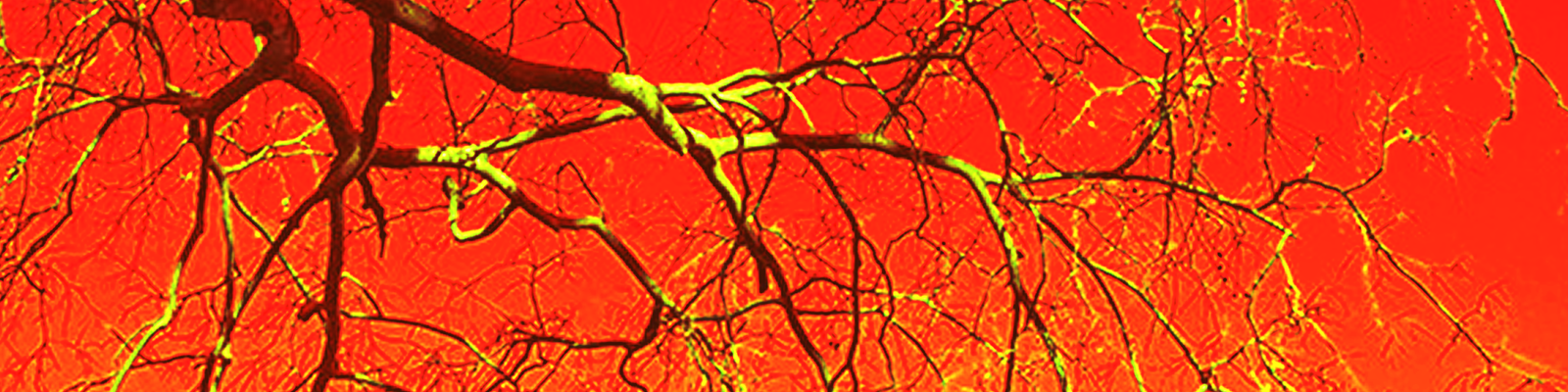 Banner Background