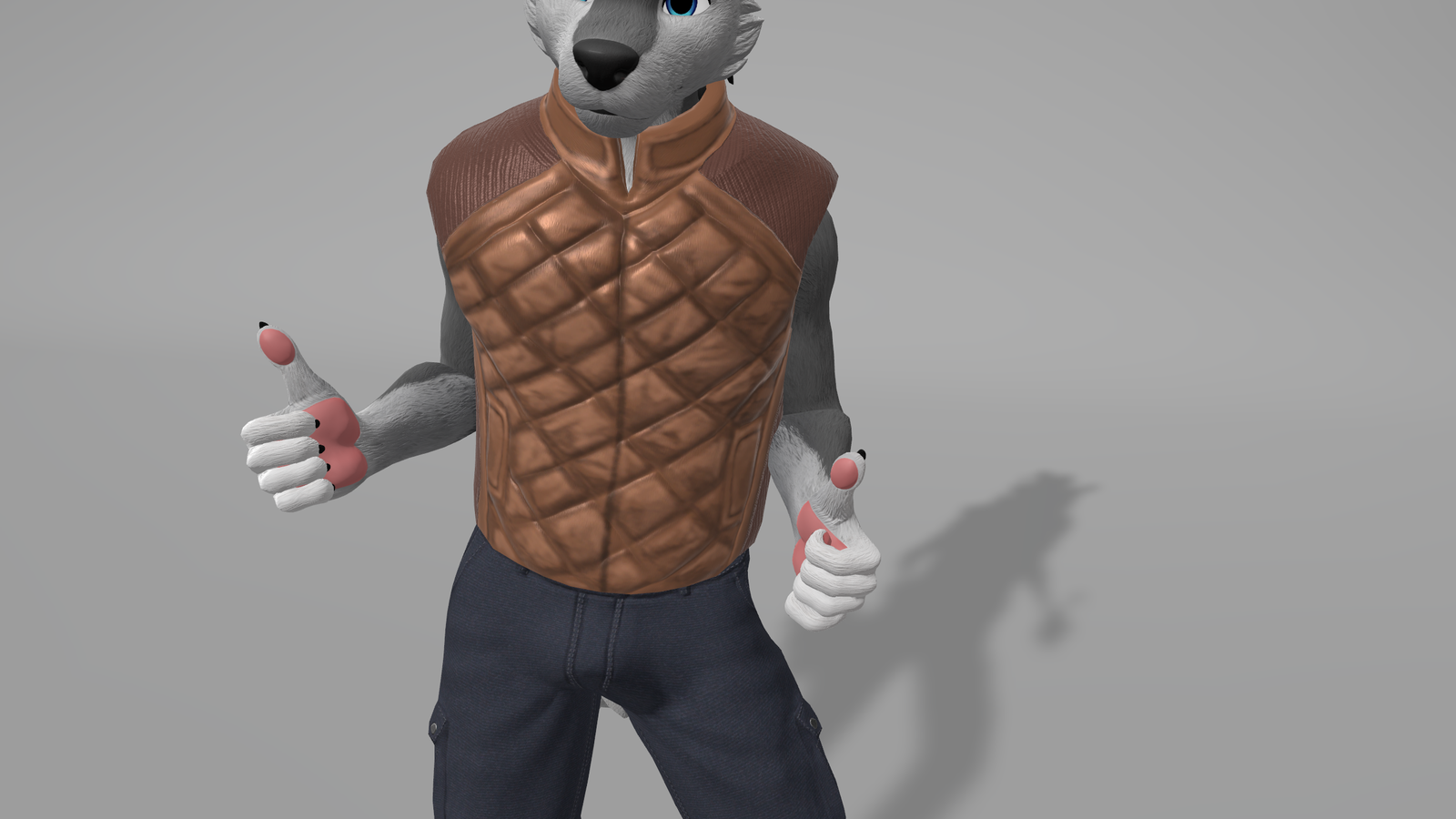 Cold Season Puffer Vest