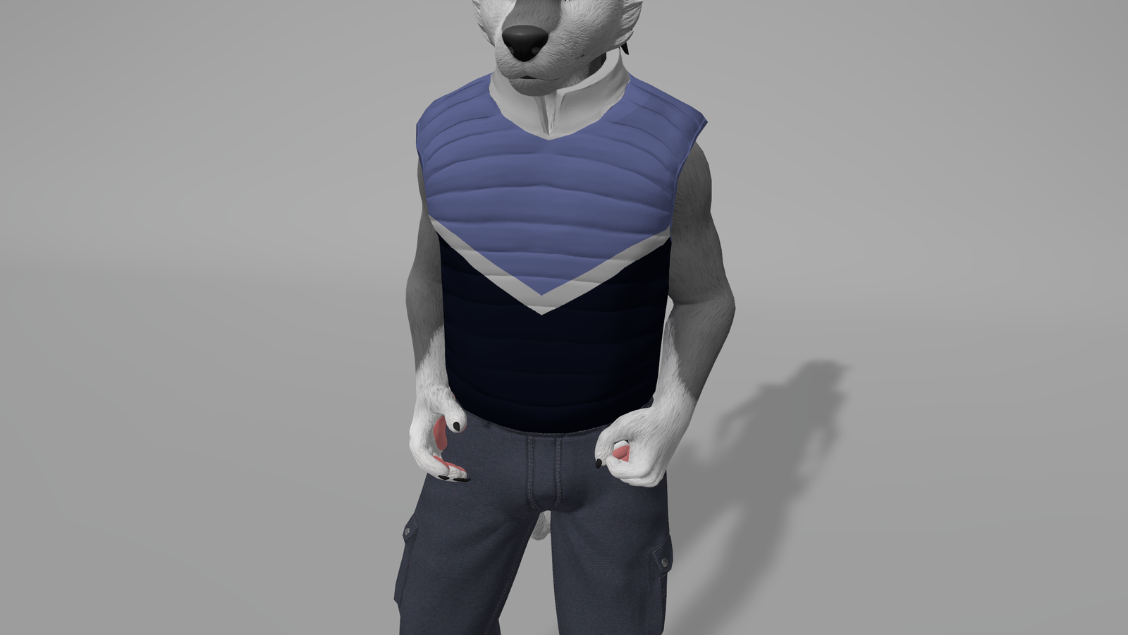 Cold Season Puffer Vest