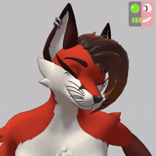 AralyFox - VRChat Avatar