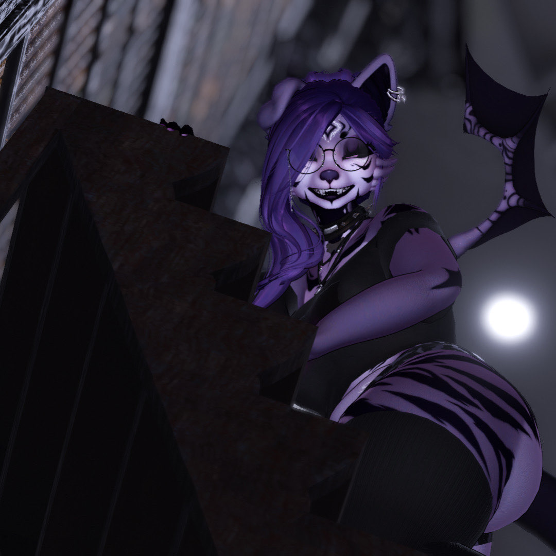 ⋆˖⁺‧₊☽ Bwatty - SFW - vrcft - PC N QUEST ☾₊‧⁺˖⋆