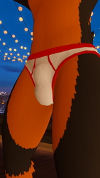 Raz Canine Undies