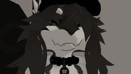 Nova Snake and Spider Bites