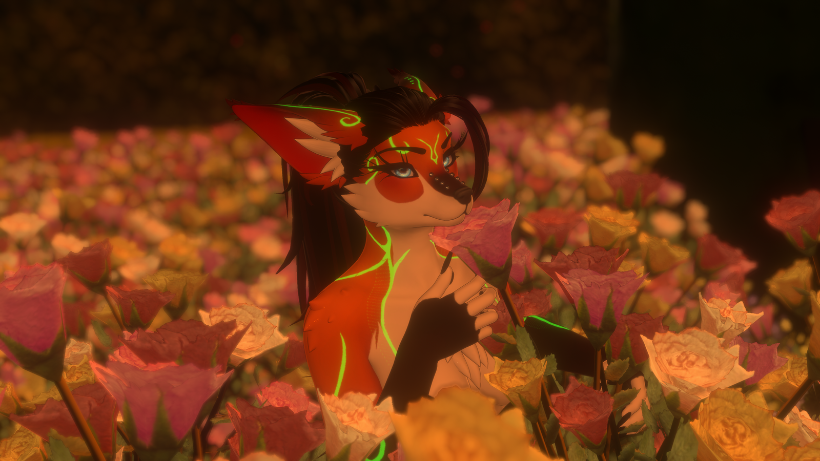 Felicia-Nebula Rexture