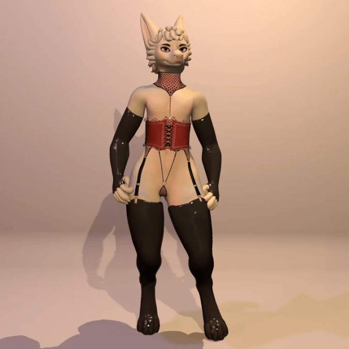 Corset & Garter Set for the Lexidae