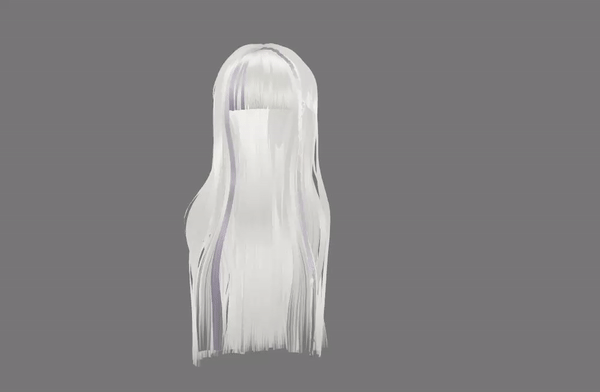 Silky Long Hair + Braid