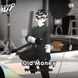 Old Money | Winterpaw Feline