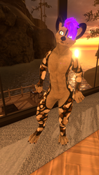 Ezra´s Canis Woof Wild Dog Texture