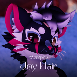 Memphis Joy Hair