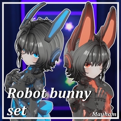 Robot bunny set