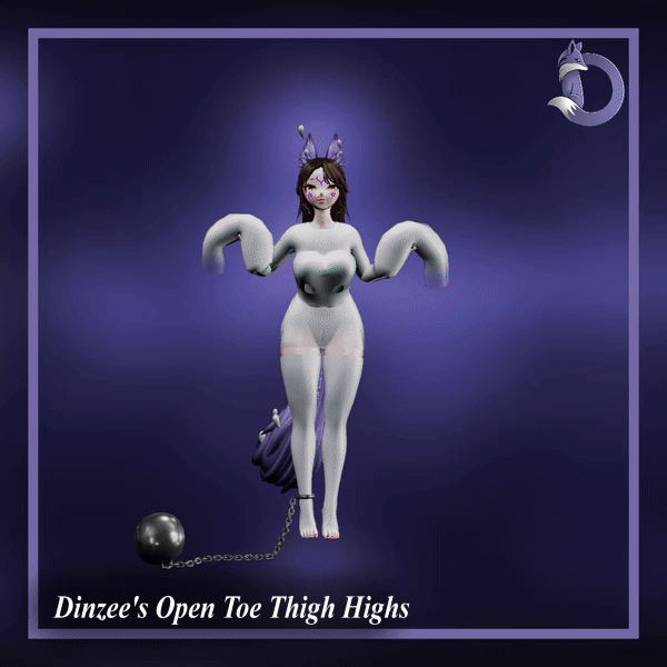 Dinzee's Open Toe Thigh High