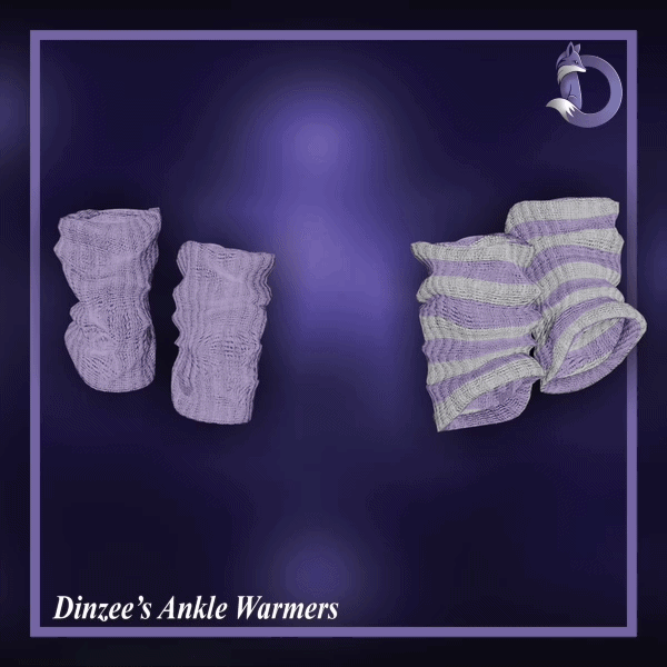 Dinzee's Ankle Warmers