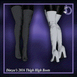 Dinzee's 2016 Thigh High Boots
