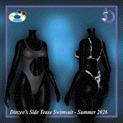 Dinzee’s Side Tease Swimsuit - Summer 2026