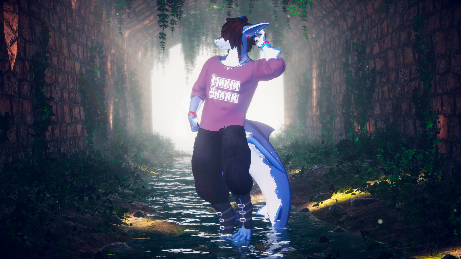 Skaterboy for Darbis Shawn the Shark