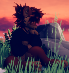 Cocoa - Mayu Tora Texture