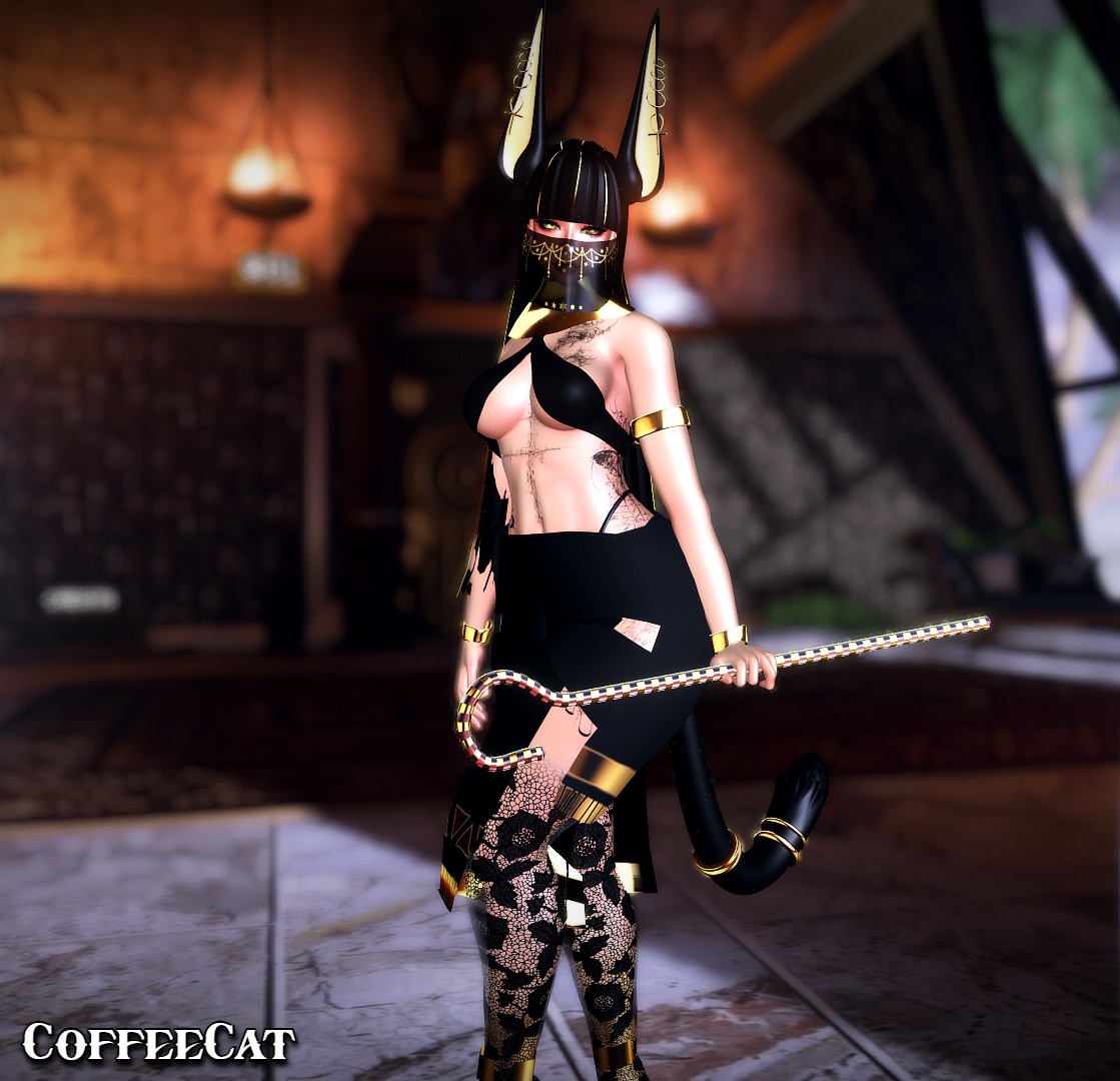 Anubis PC+QUEST (SPS + GoGoLoco)