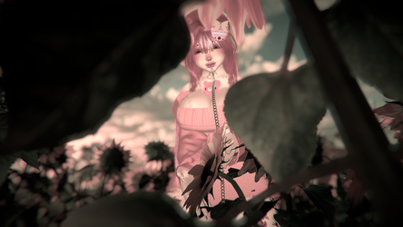 Mirabelle PC+QUEST, Head Swap, Fake Index