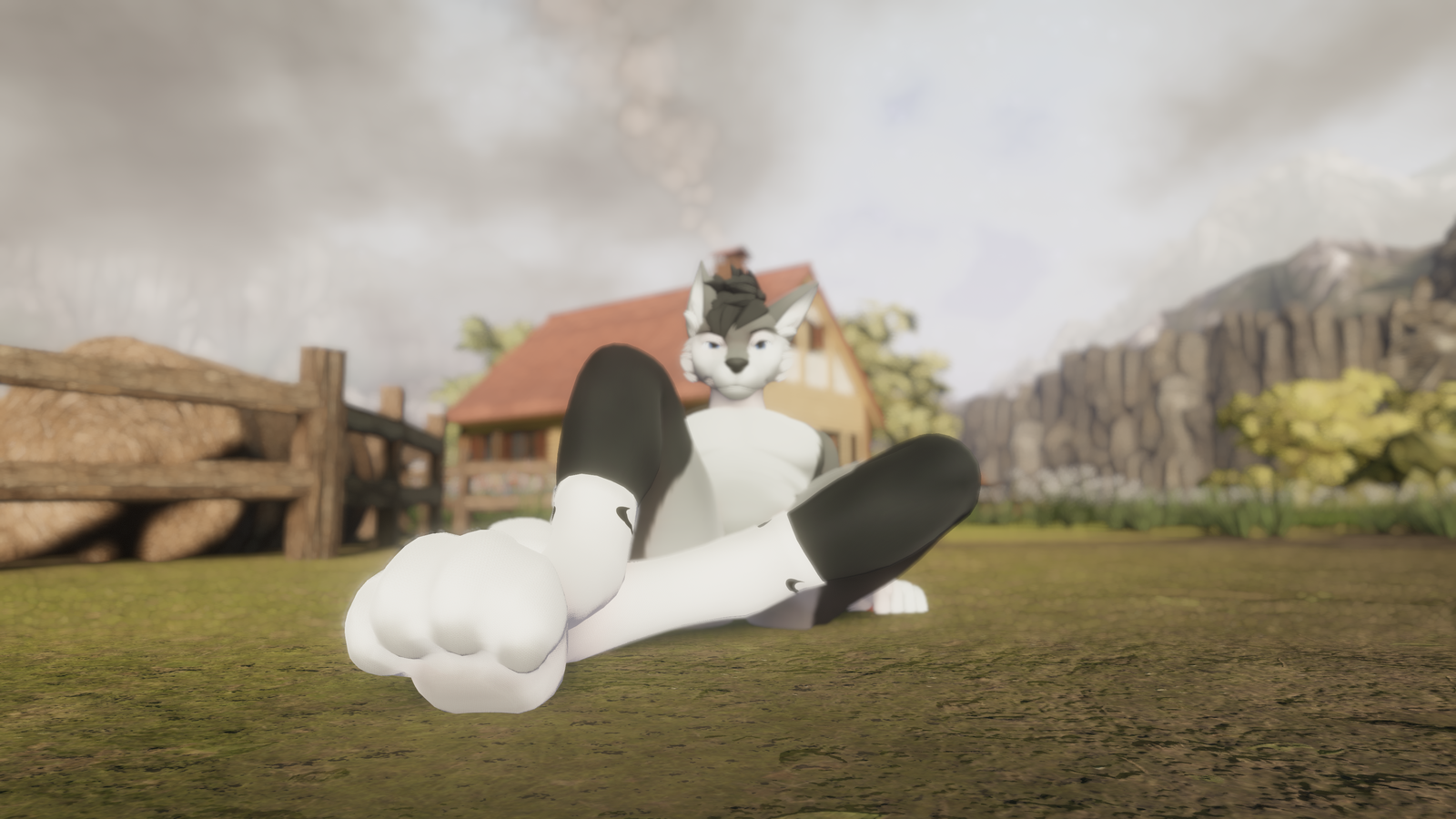 updated masc WinterPaw socks