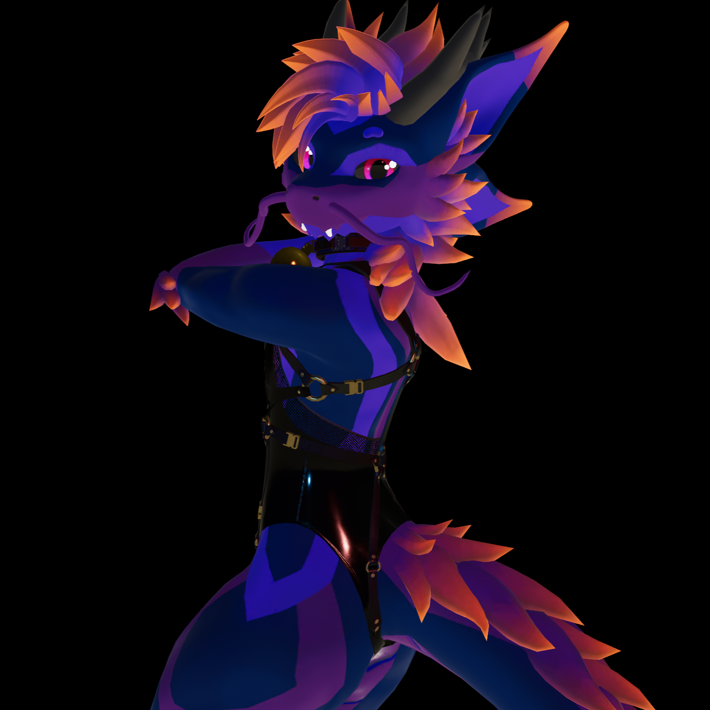 Nardoragon - Leomesh