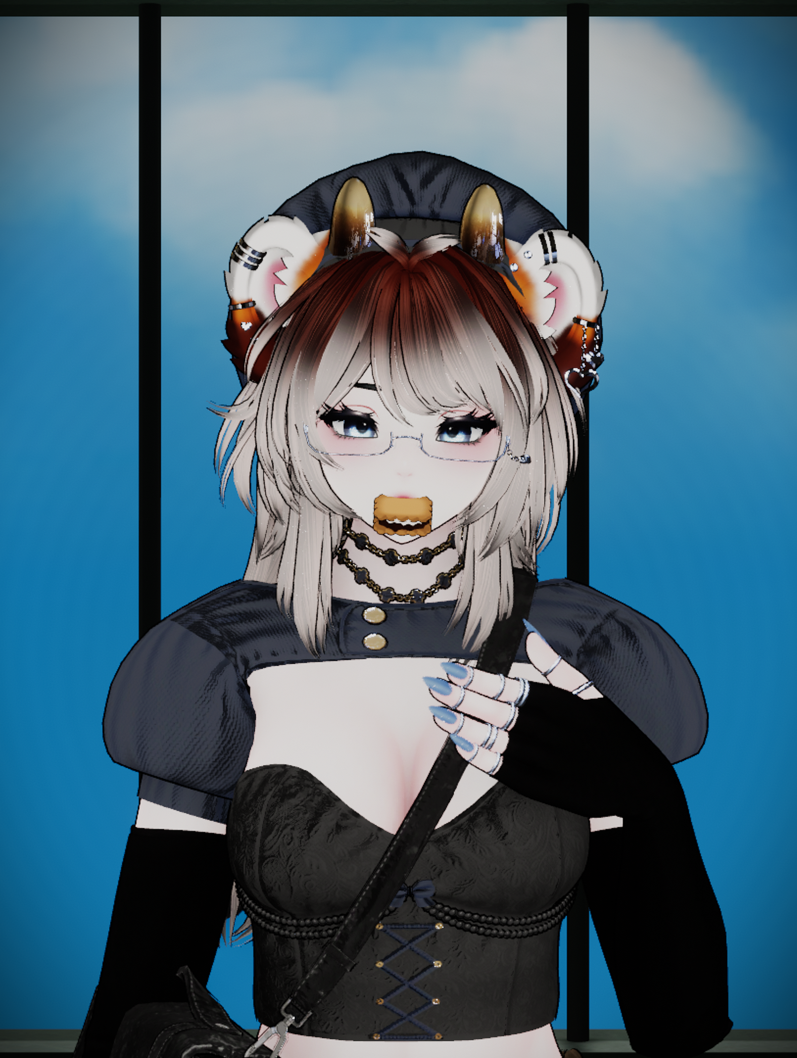 Dixy (PC, QUEST, Sps, Gogo)