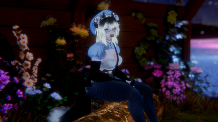 Dixy (PC, QUEST, Sps, Gogo)
