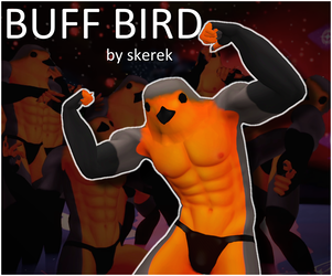 Buff Bird
