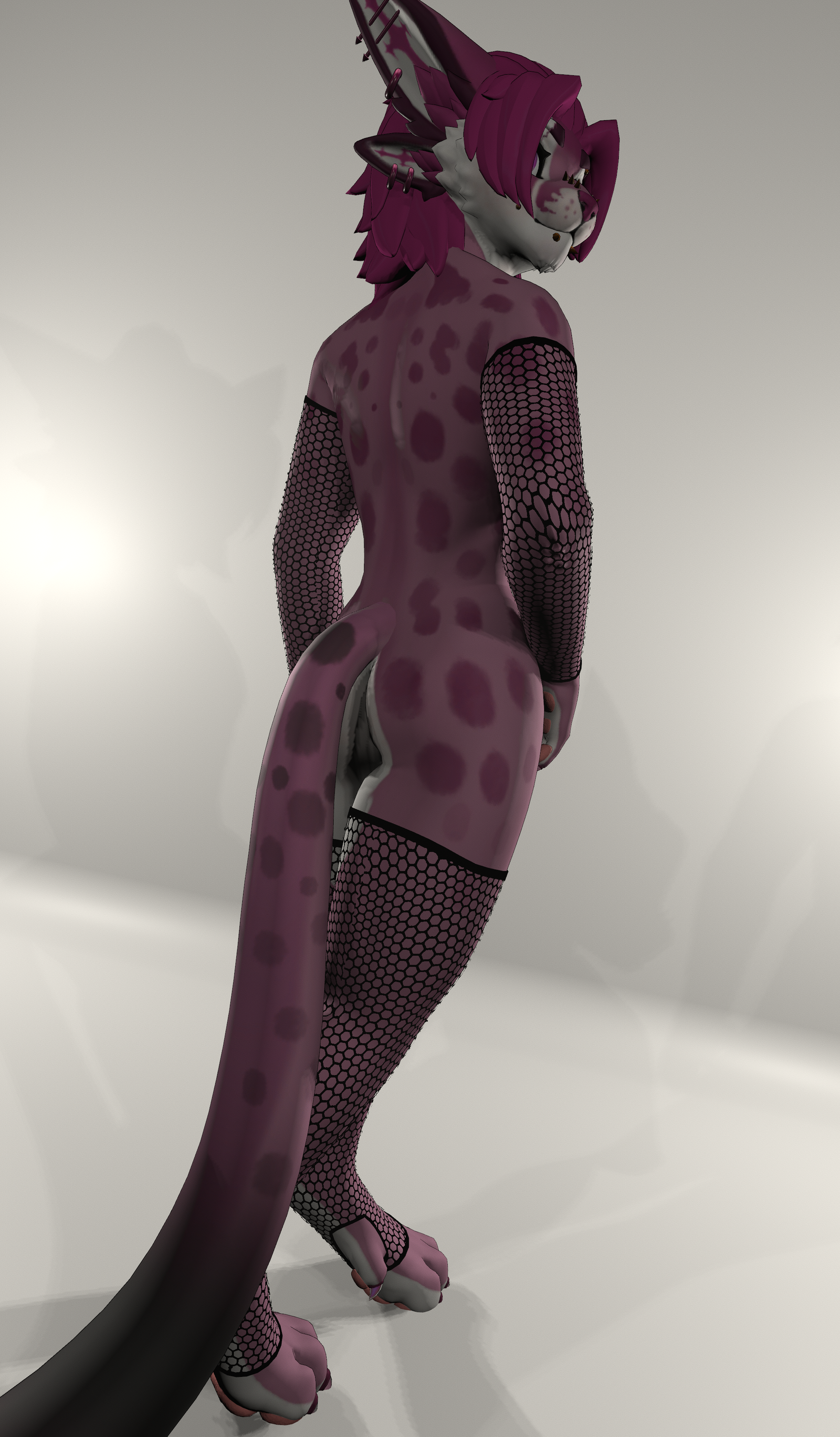 Zivan Arm/Legwarmers + Fishnets
