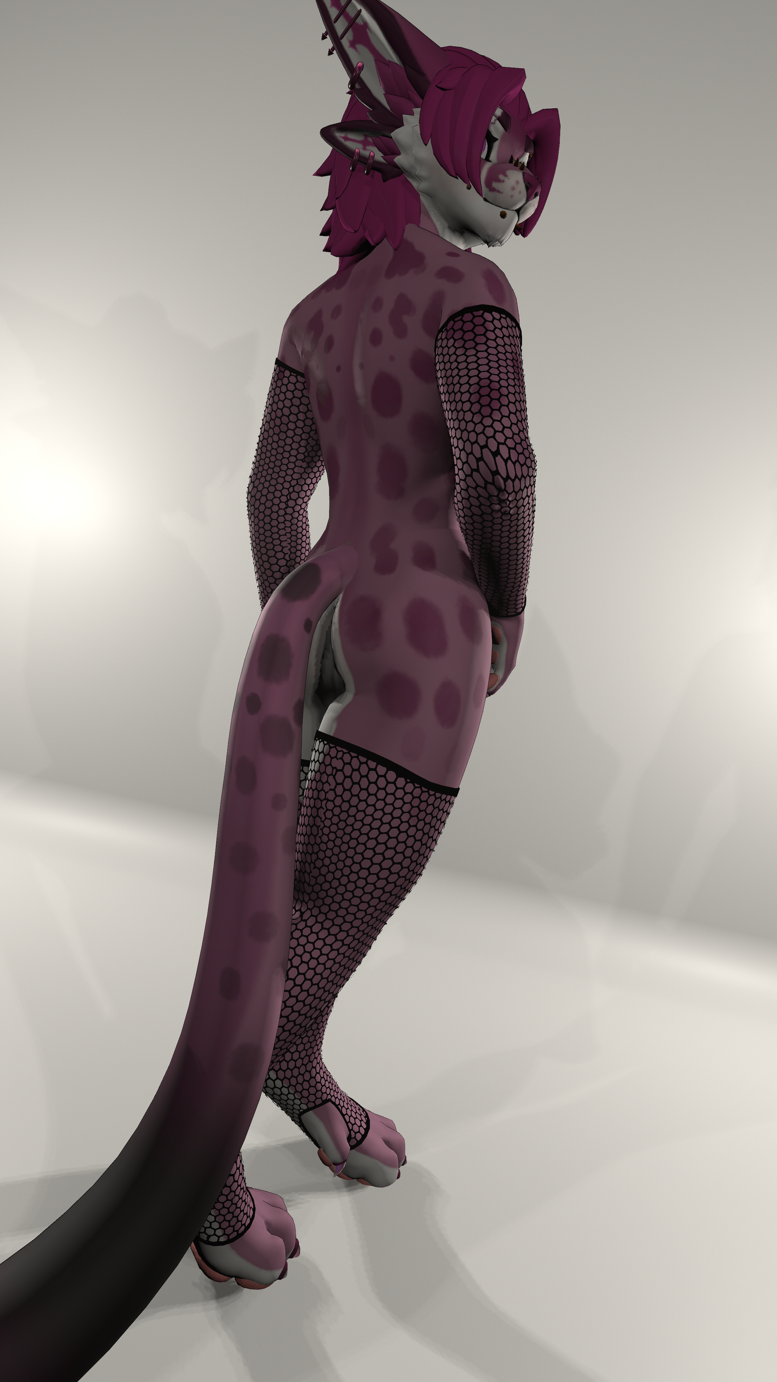Zivan Arm/Legwarmers + Fishnets