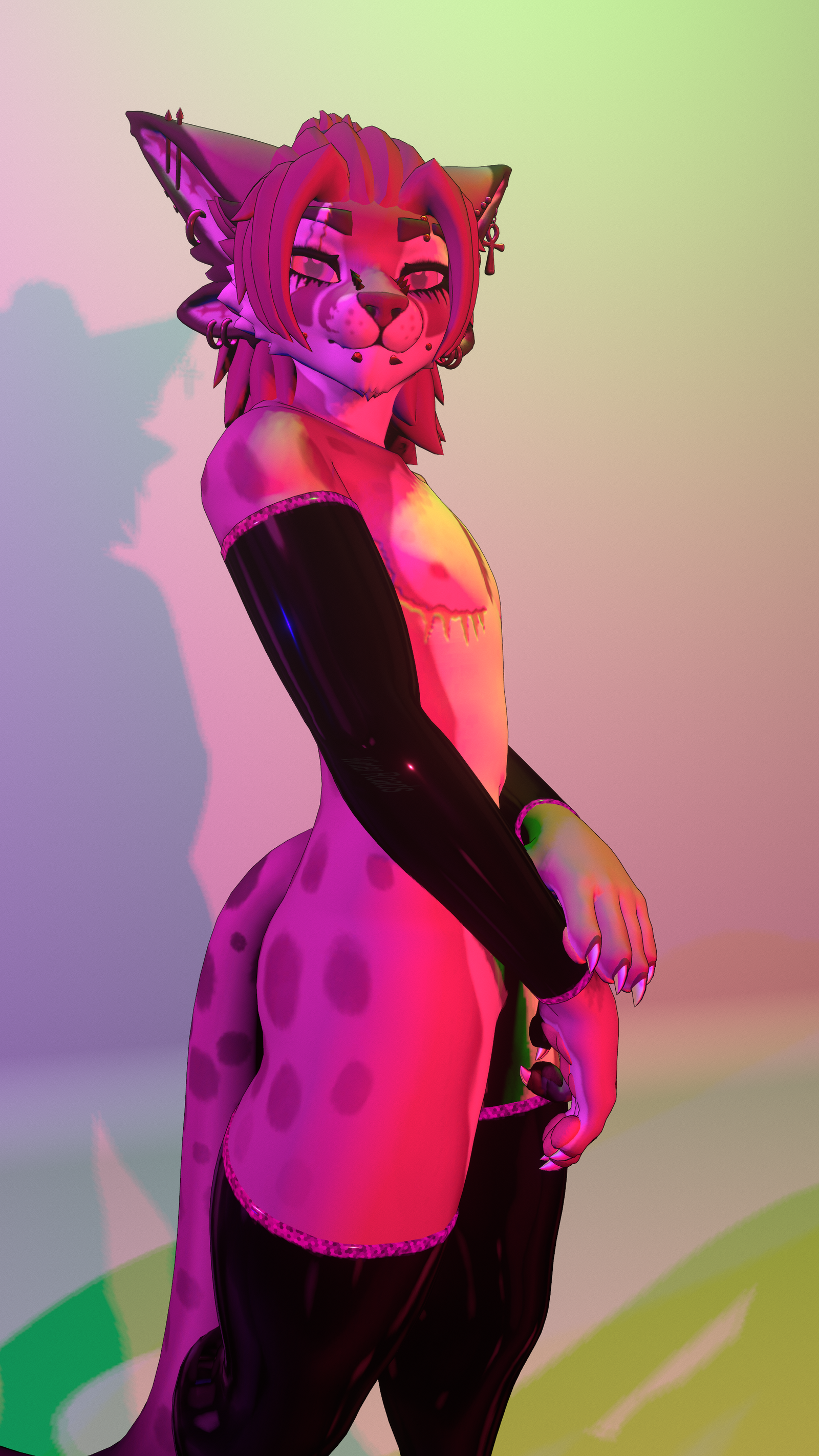 Zivan Arm/Legwarmers + Fishnets