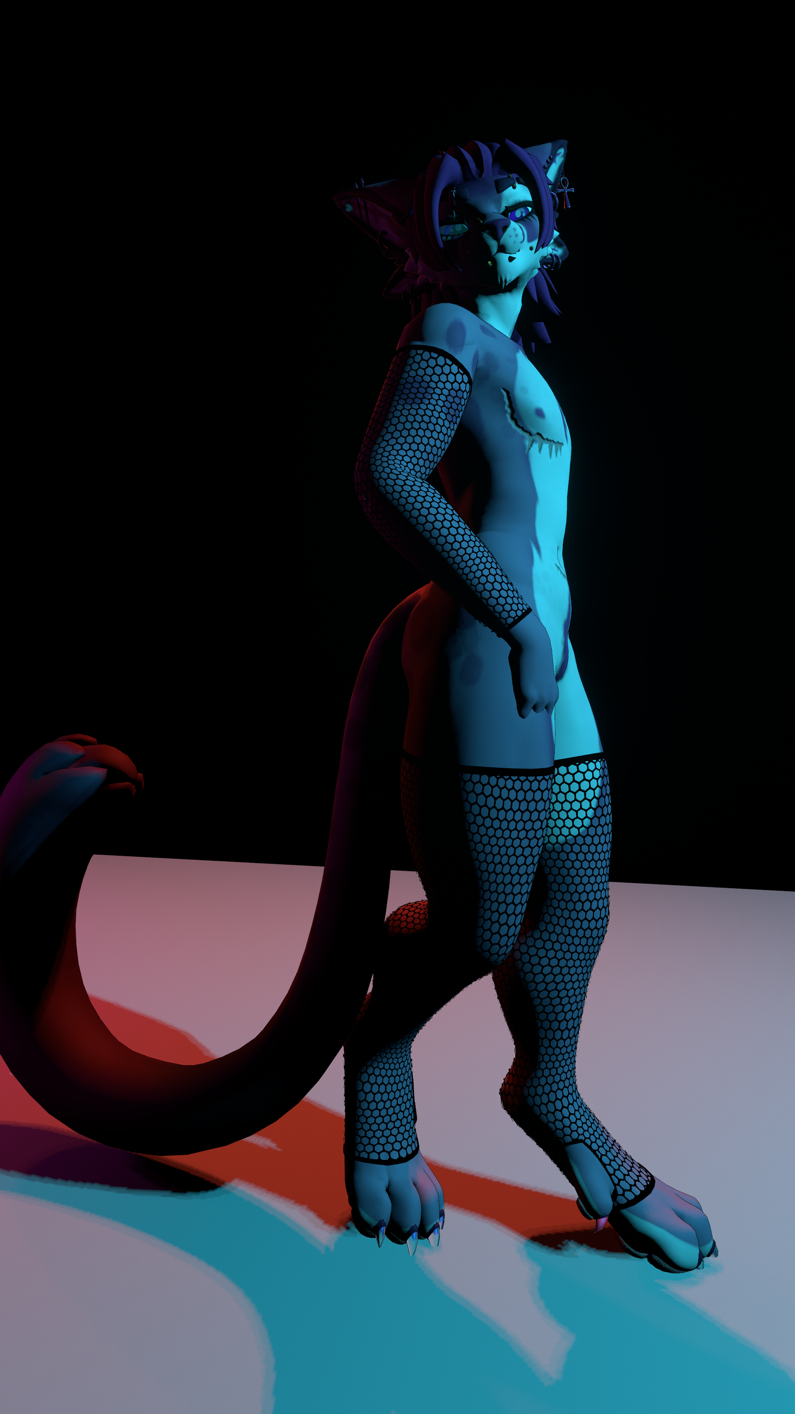 Zivan Arm/Legwarmers + Fishnets